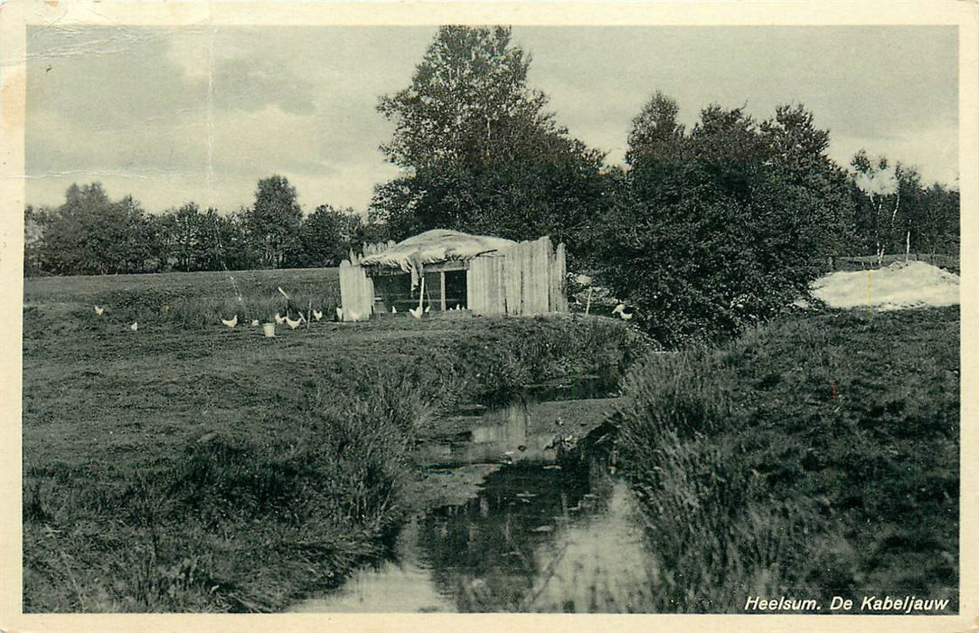 Heelsum de Kabeljauw