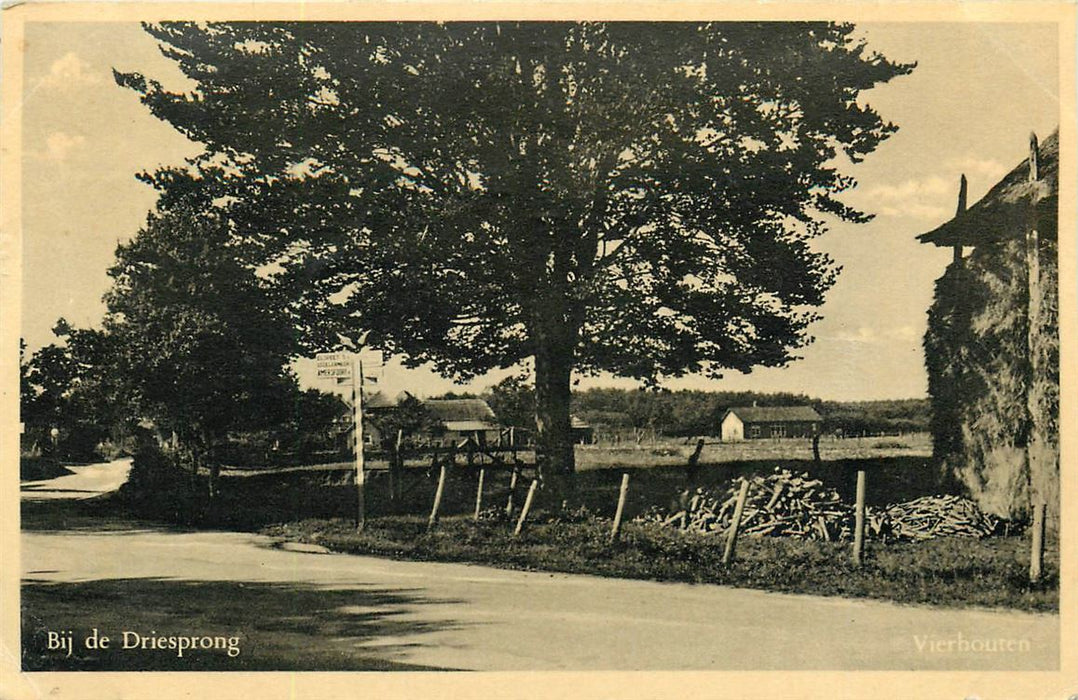Vierhouten bij de Driesprong