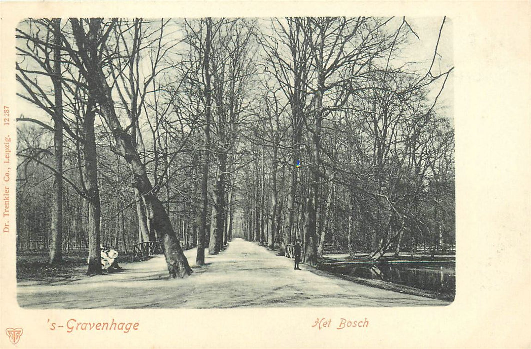 Den Haag Het Bosch