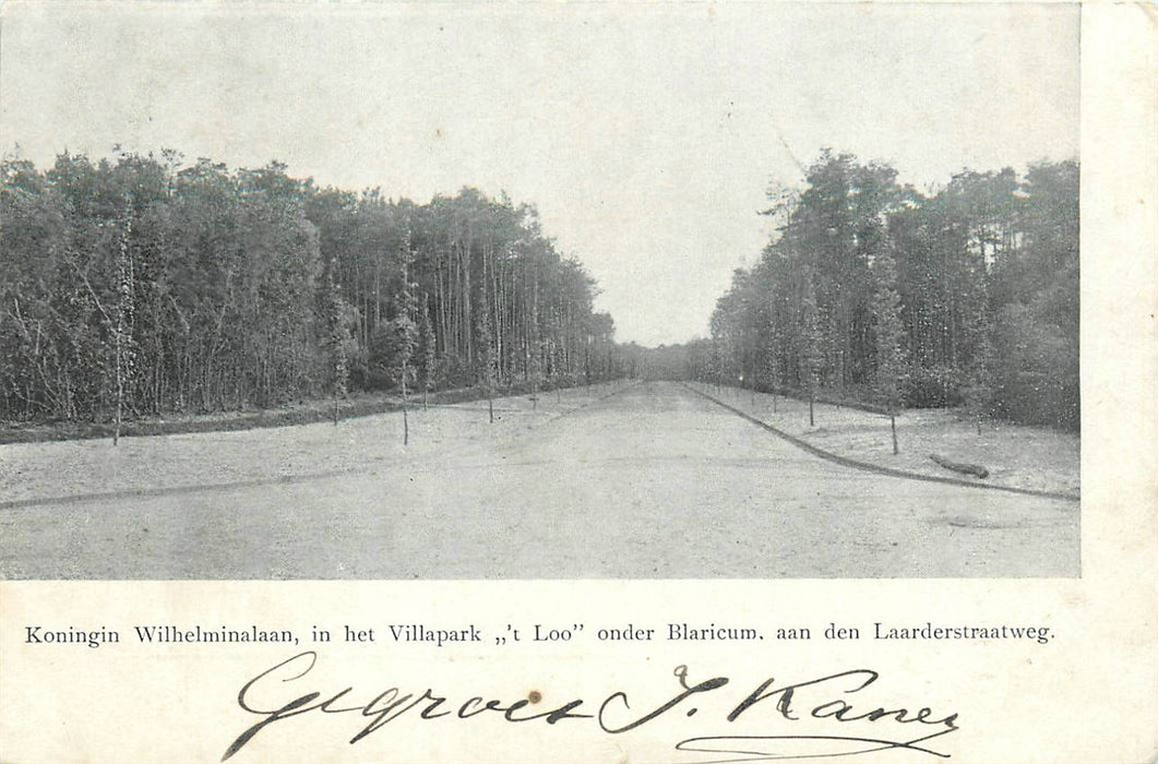 Blaricum Villapark t Loo