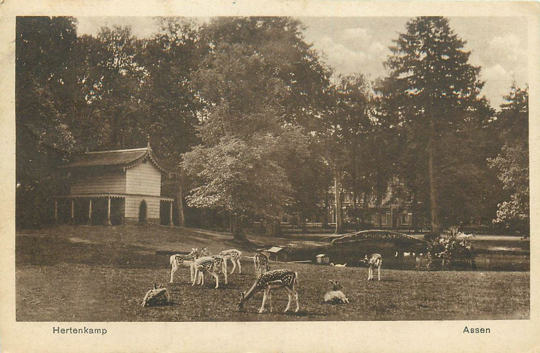 Assen Hertenkamp