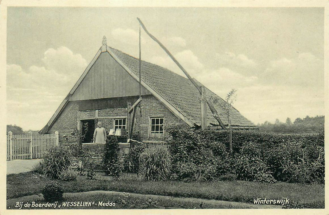 Winterswijk Meddo Wesselink
