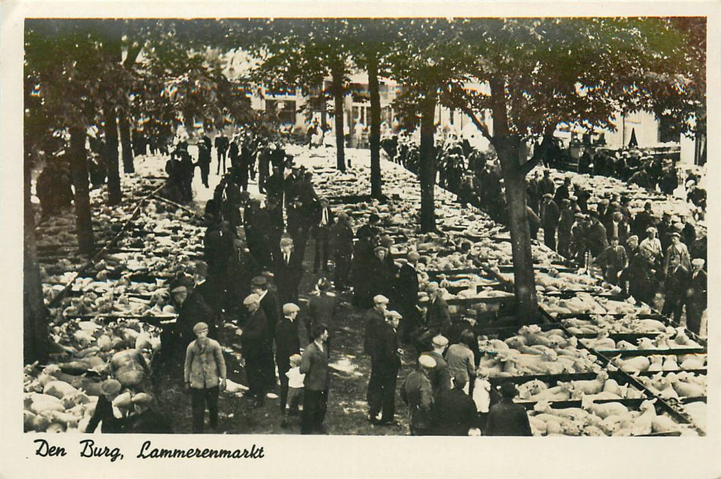 Den Burg Texel Lammerenmarkt