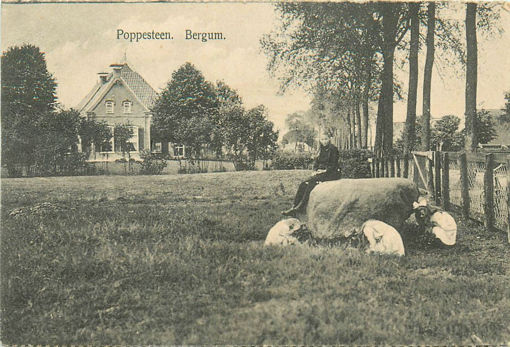 Bergum Poppesteen