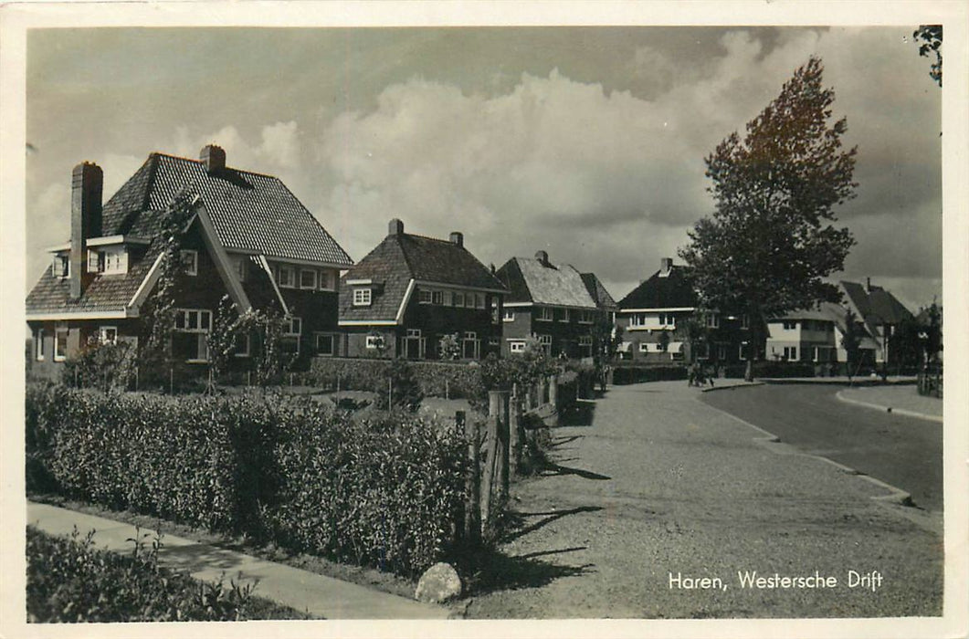 Haren Westersche Drift