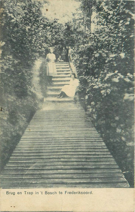 Frederiksoord Berg En Trap In T Bosch