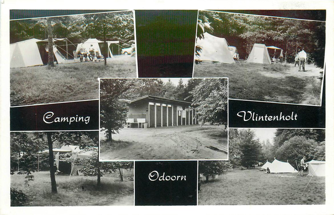 Odoorn Camping Vlintenholt