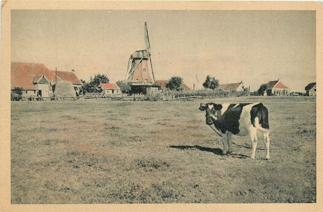 Terschelling Molen Formerum