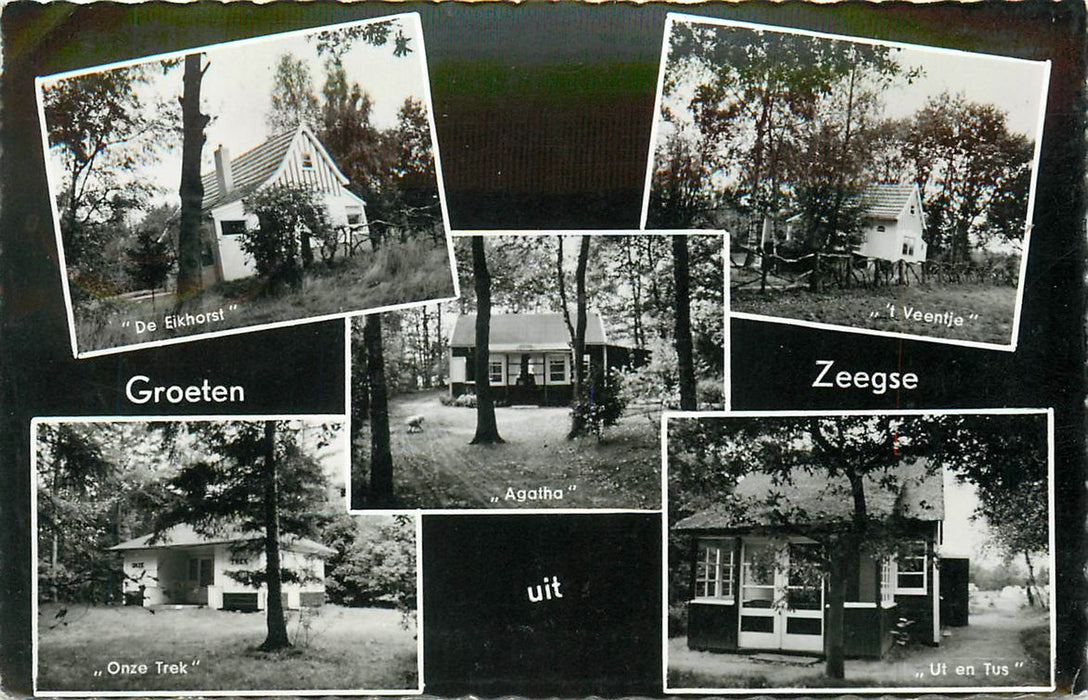 Zeegse