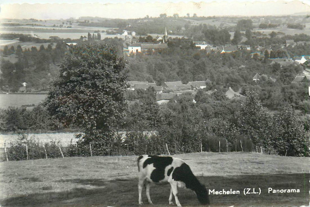 Mechelen Zl Panorama