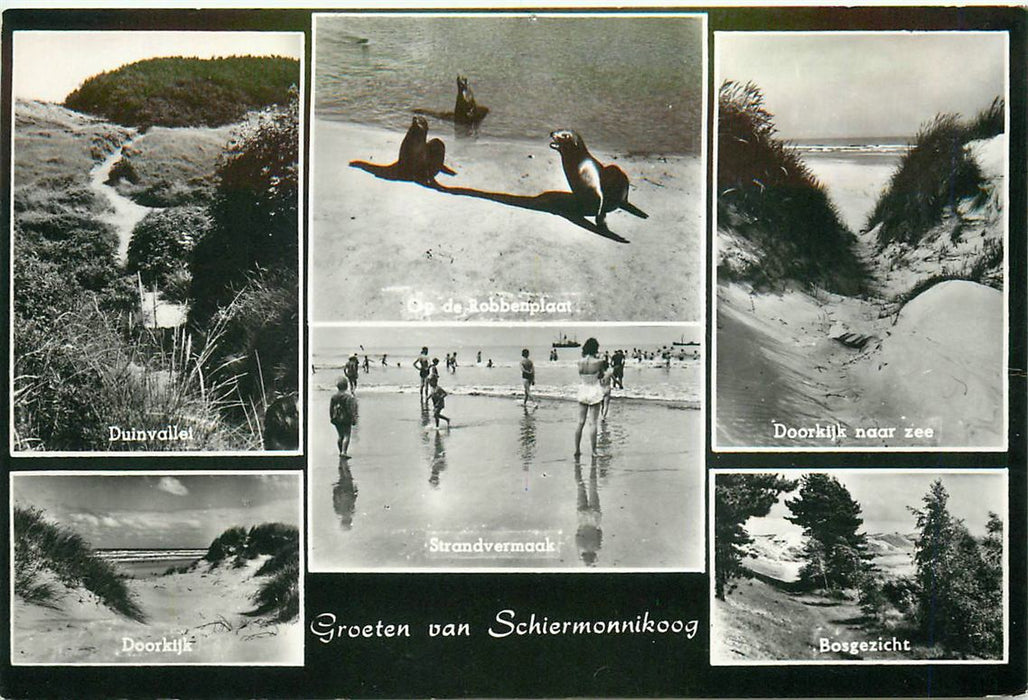 Schiermonnikoog