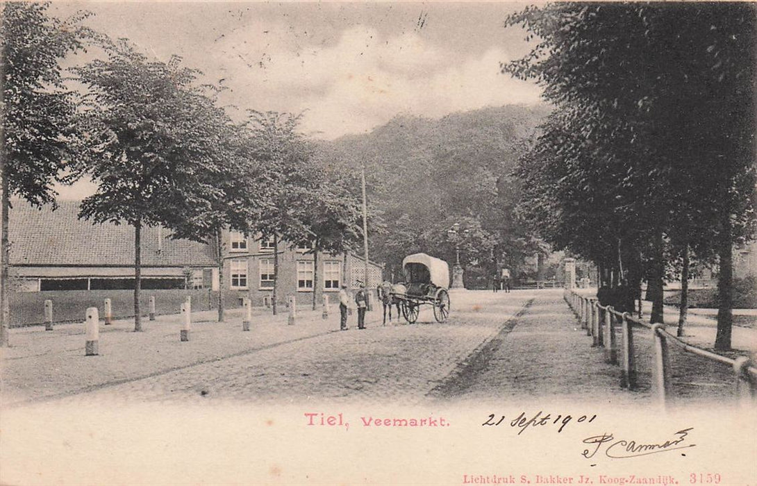 Tiel Veemarkt