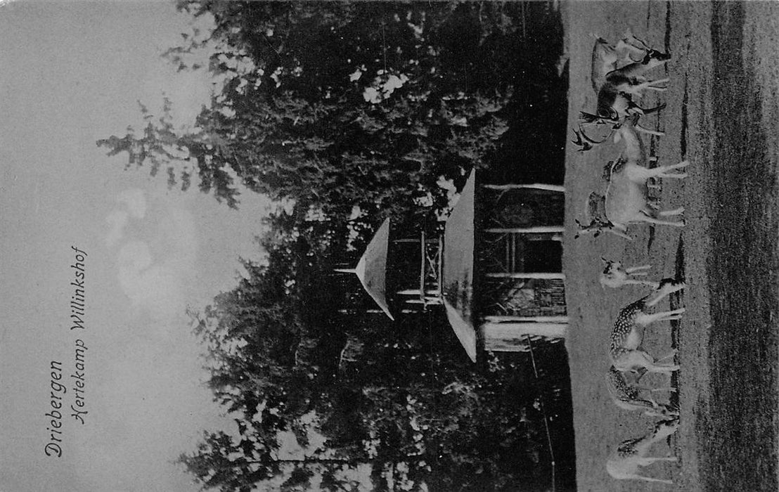 Driebergen Hertekamp Willinkshof