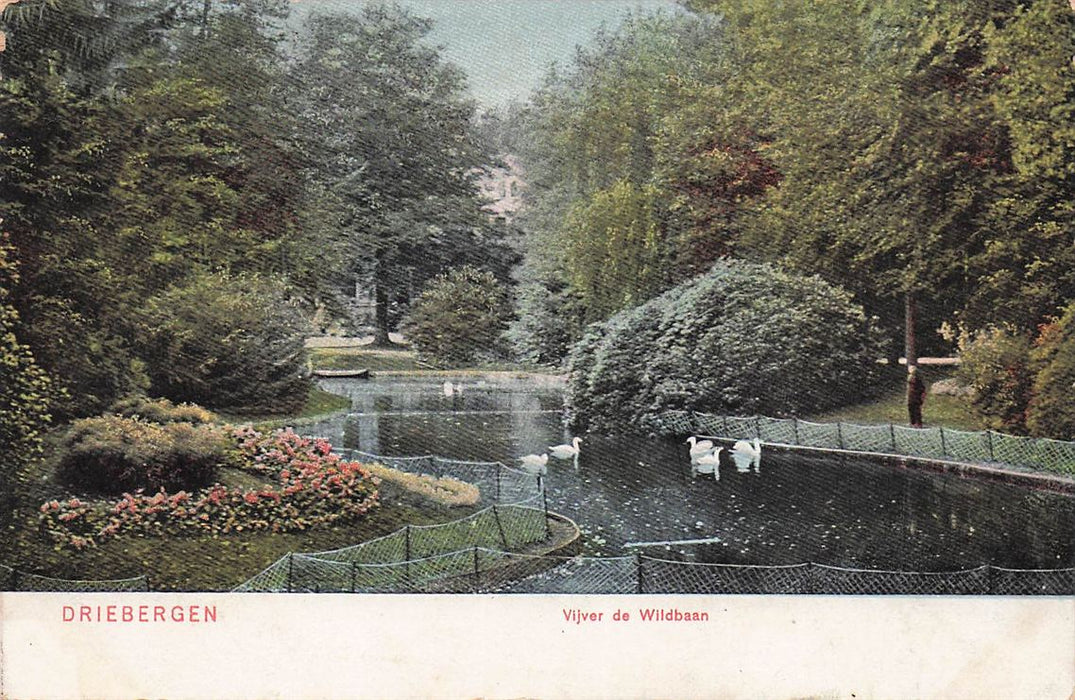 Driebergen Vijver De Wildbaan