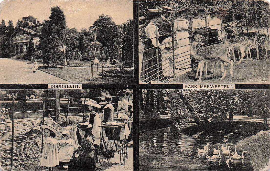 Dordrecht Park Merwesteijn.