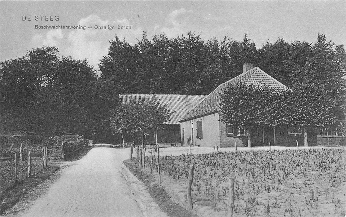 De Steeg Boschwachterswoning