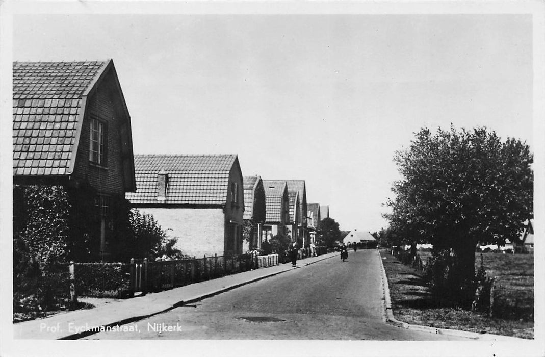 Prof Eyckmanstraat Nijkerk