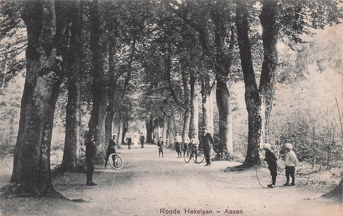 Roode Hekslaan Assen
