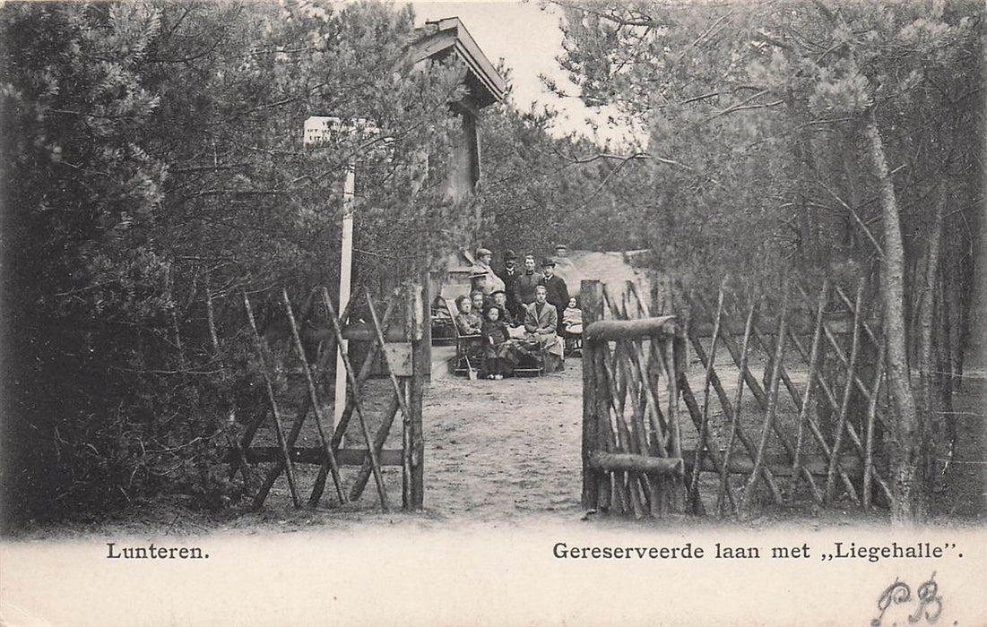 Lunteren Gereserveerde Laan Met Liegehalle