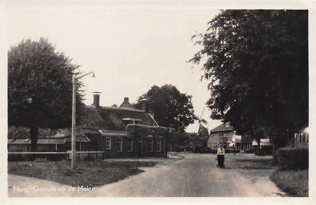 Norg Gezicht Op De Molen