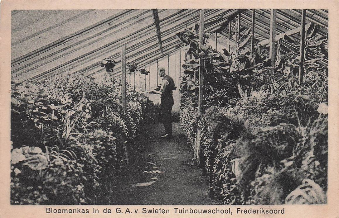 Frederiksoord Bloemenkas In De G A V Swieten Tuinbouwschool
