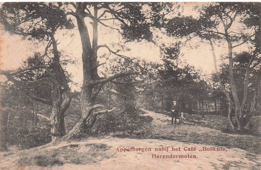 Appelbergen Nabij Het Cafe Bolhuis Harendermolen