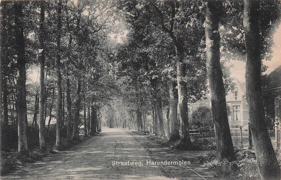 Straatweg Harendermolen