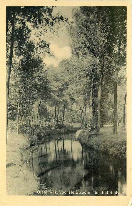 Oisterwijk Voorstre Stroom Rietven