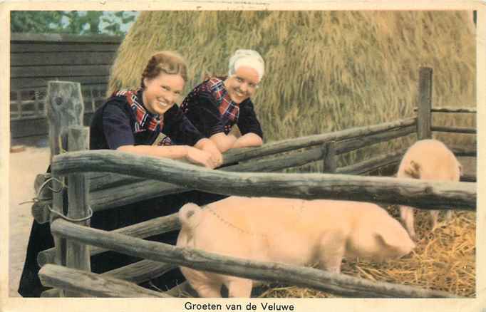 Veluwe Groeten van