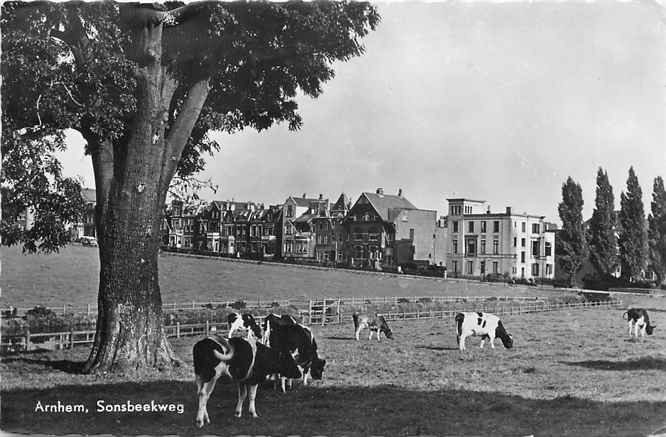 Arnhem Sonsbeekweg
