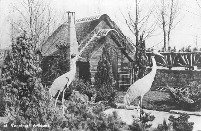 Alphen aan den Rijn Vogelpark Avifauna