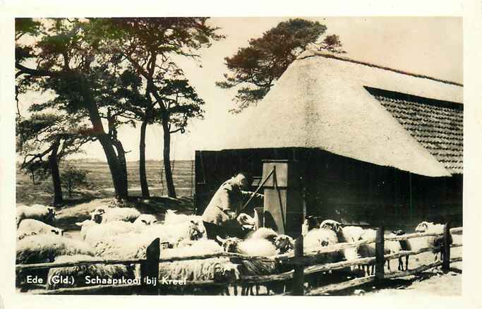 Ede Schaapskooi bij Kreel