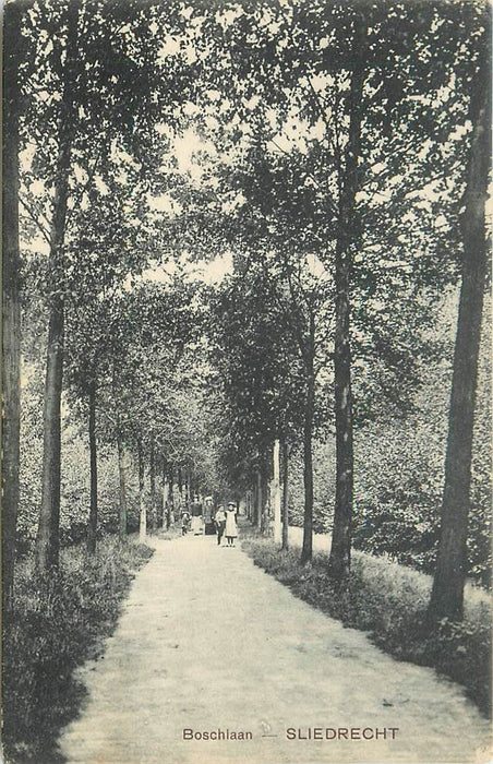 Sliedrecht Boschlaan