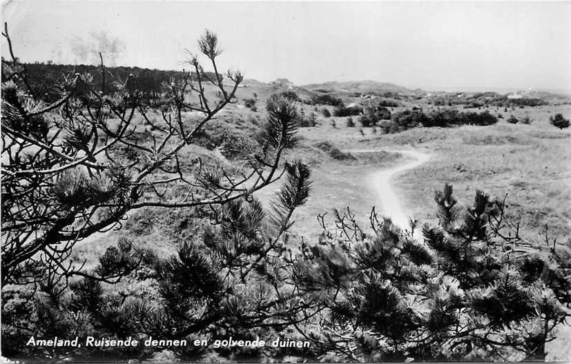 Ameland