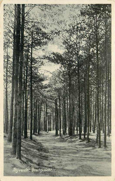 Nijverdal Boschgezicht