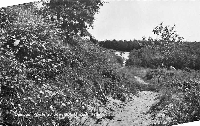 Westenschouwen Duinpad