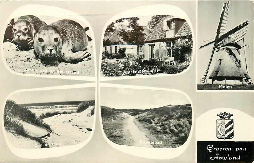 Ameland Multiview