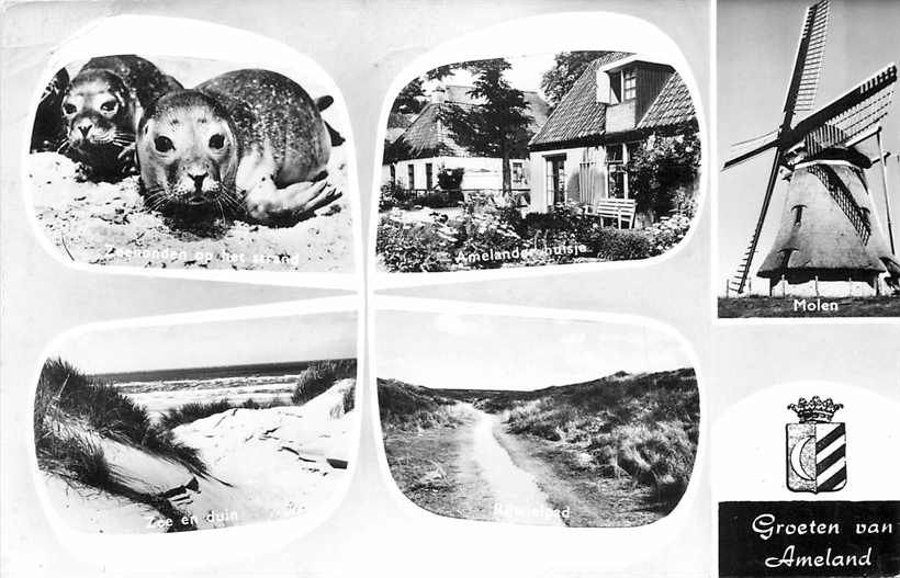 Ameland Multiview