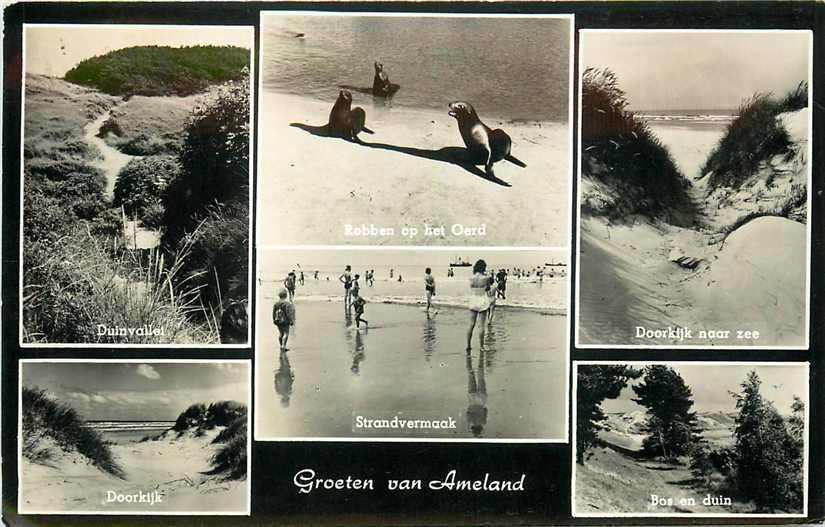Ameland Multiview