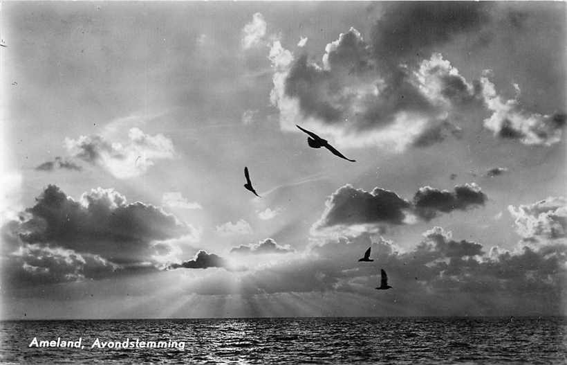Ameland Avondstemming