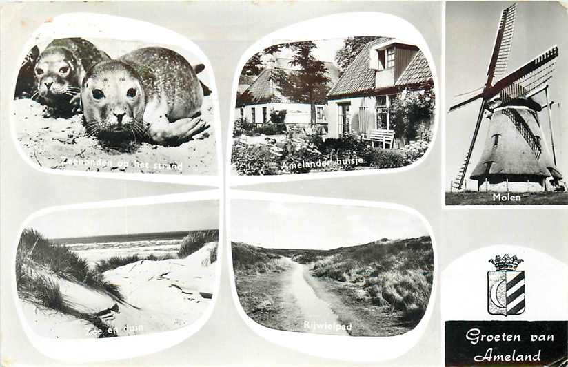 Ameland Multiview