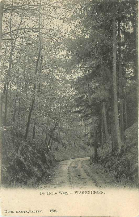 Wageningen De Holle Weg