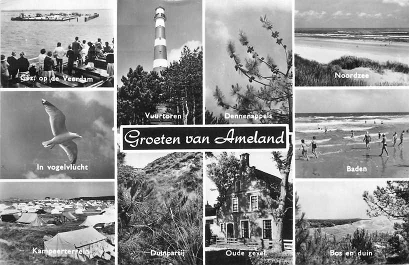 Ameland Multiview