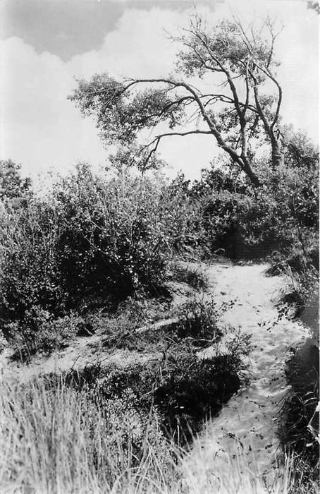 Bentveld