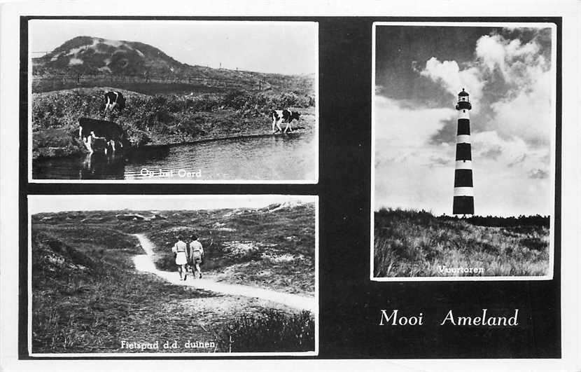 Ameland Multiview