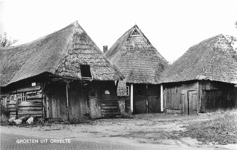 Orvelte