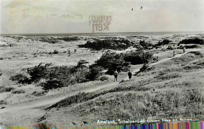 Ameland Schelpenpad