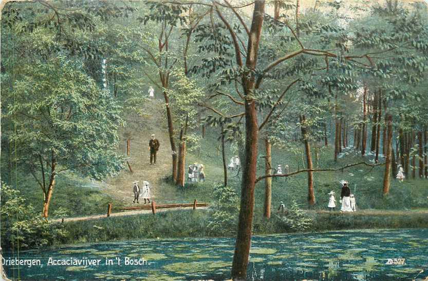 Driebergen Acaciavijver
