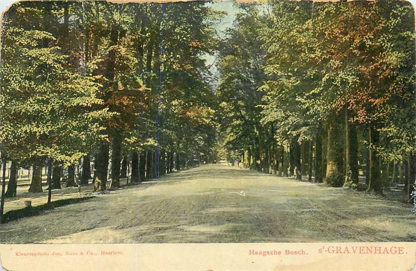 Den Haag Haagsche Bosch