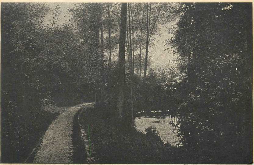 Valkenburg L